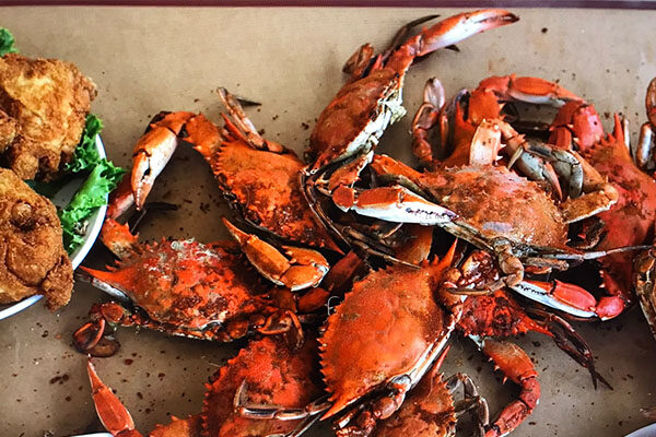 The Wellwood Crab Feasts 9