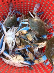 The Wellwood - best crab feasts in Maryland