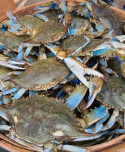 The Wellwood - best crab feasts in Maryland