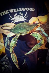 The Wellwood - best crab feasts in Maryland