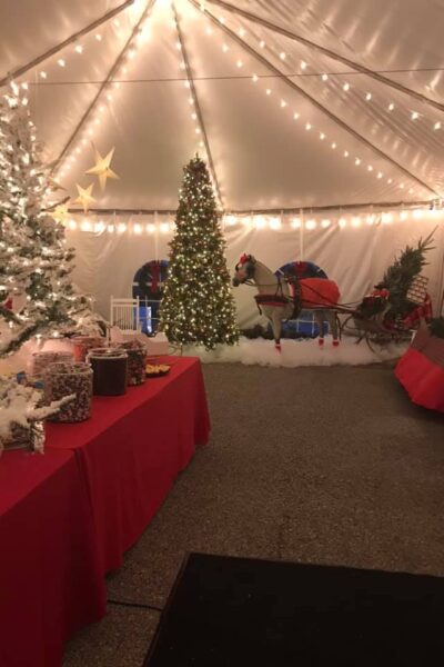 Holidays at The Wellwood 2