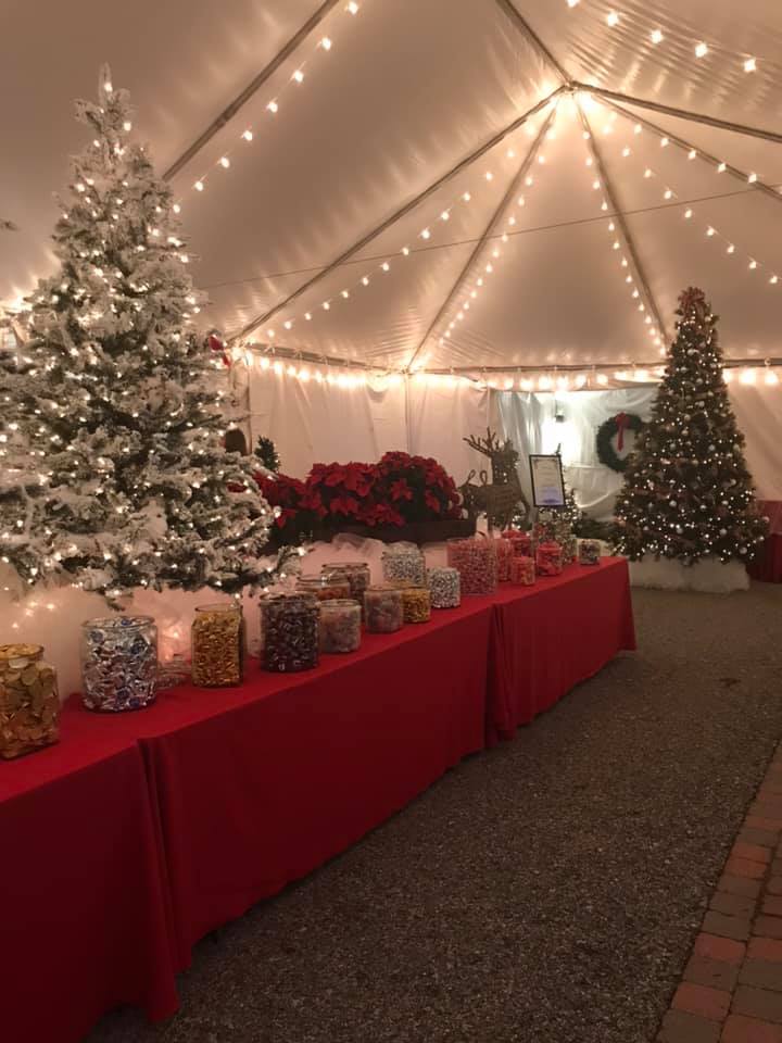 Holidays at The Wellwood 2