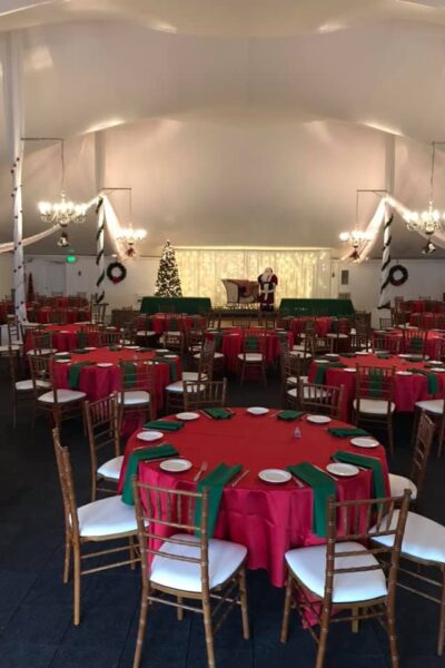 Holidays at The Wellwood 2