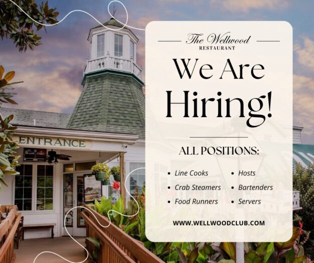 We are Hiring We are Hiring